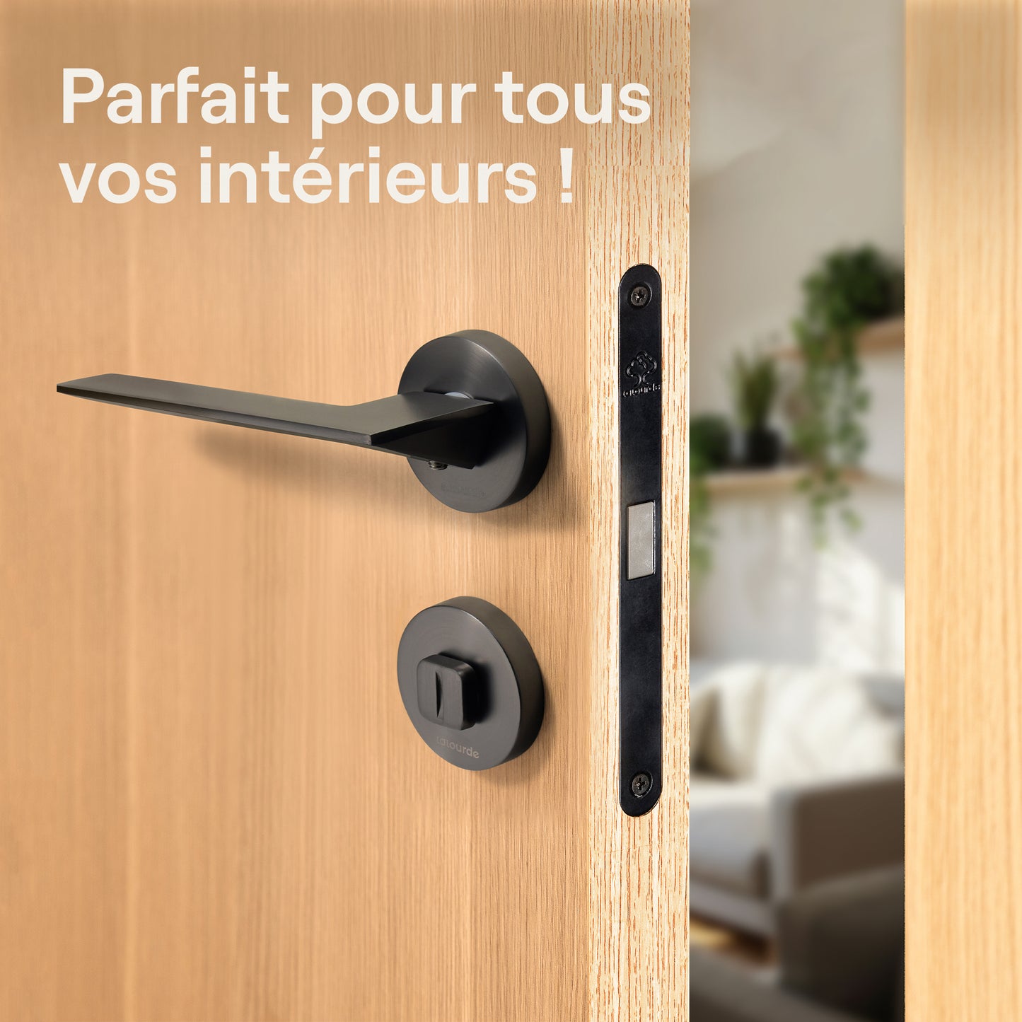 Poignée de porte Alterna - Aluminium